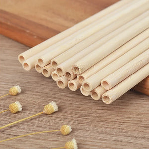 Reusable Bamboo Straws Natural Eco-friendly Portable