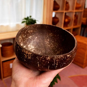 Natural Coconut Bowl Set