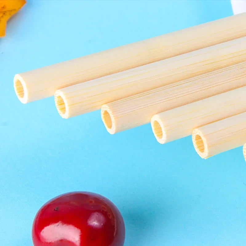 Reusable Bamboo Straws Natural Eco-friendly Portable